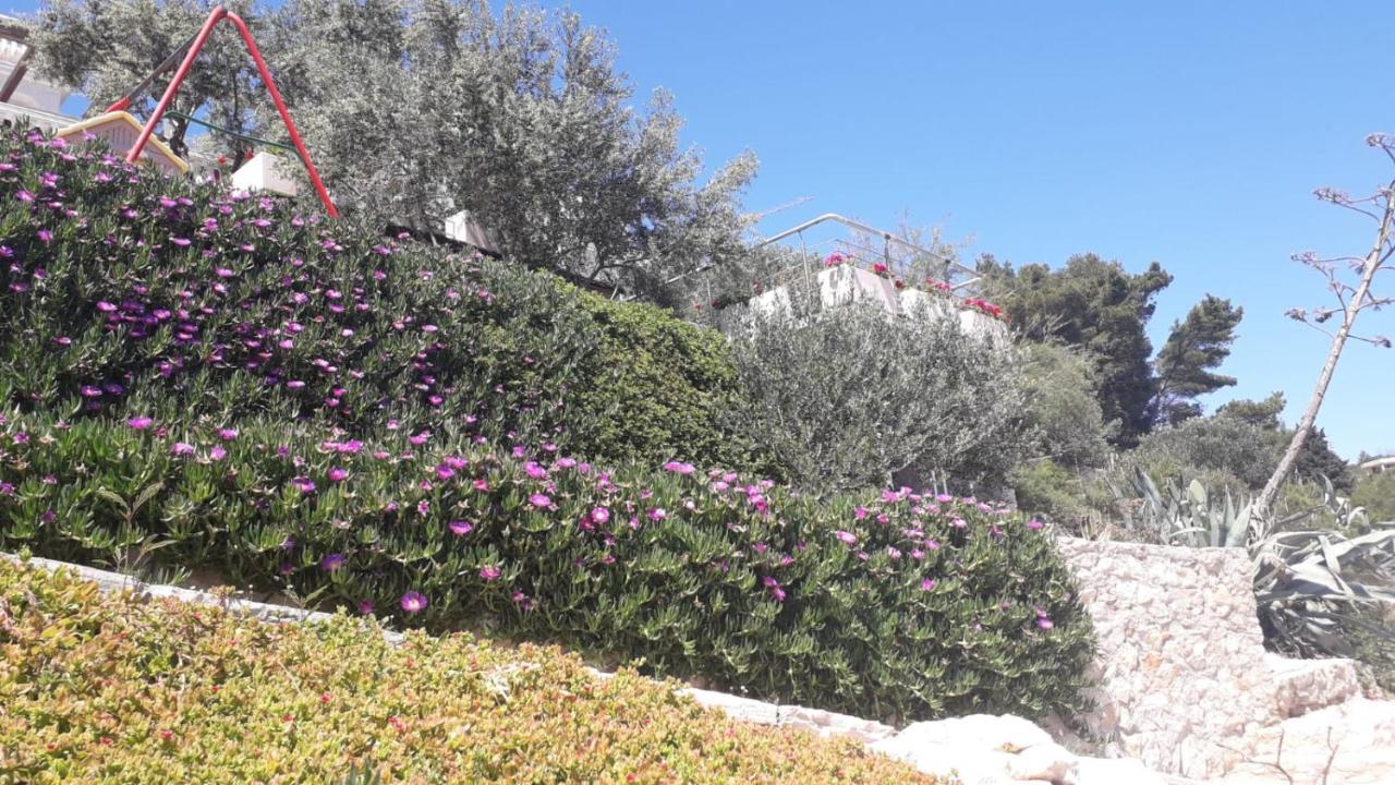 Rosa * Vela Luka