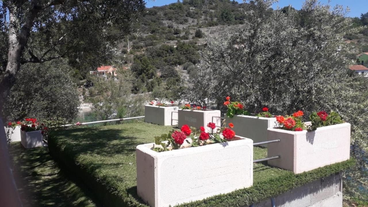 Rosa Apartamento