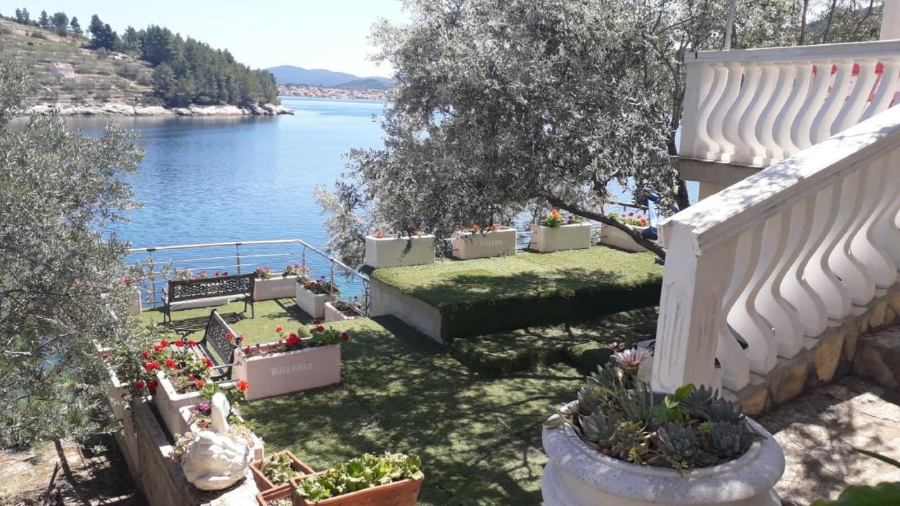 Rosa Vela Luka