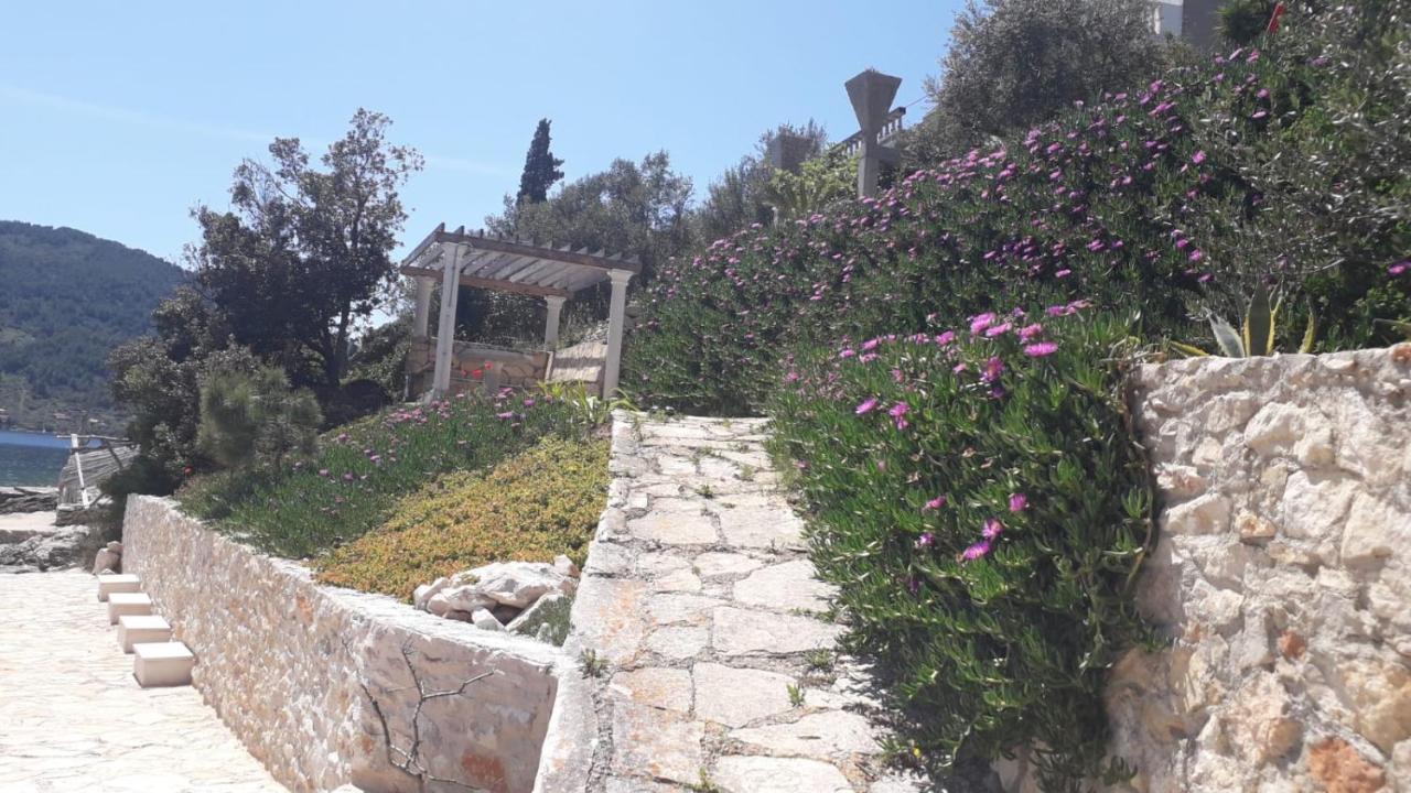 Rosa * Vela Luka