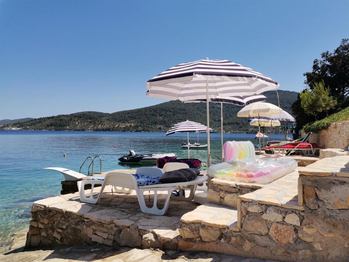 Rosa Vela Luka